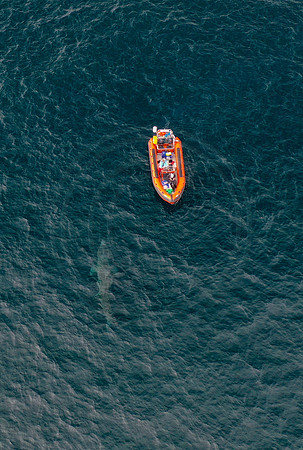 DJI_0558cp